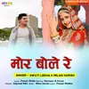 Mor Bole Re (feat. Narayan Pareek)